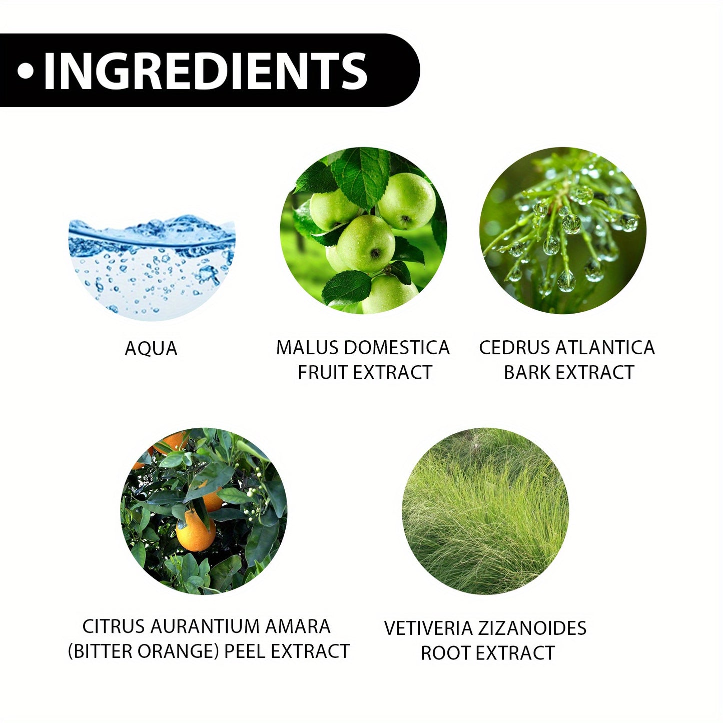 50ml Roxelis perfume for men